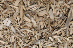 biomass boilers Rhydowen