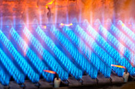 Rhydowen gas fired boilers